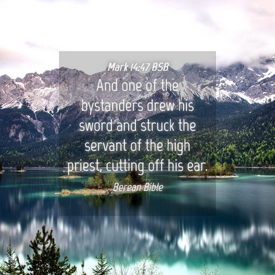 Picture 04 - Mark 14:47 BSB - And one of the bystanders drew his sword and - Bible Verse Picture