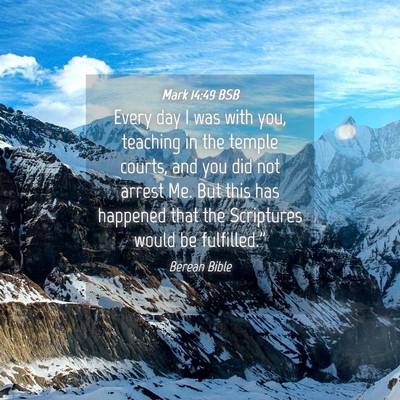 Picture 04 - Mark 14:49 BSB - Every day I was with you, teaching in the temple - Bible Verse Picture