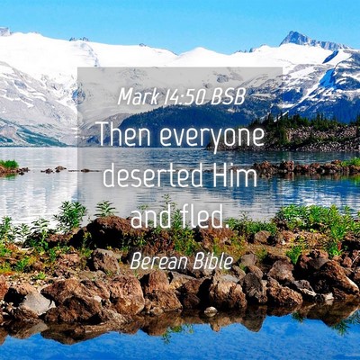 Picture 04 - Mark 14:50 BSB - Then everyone deserted Him and - Bible Verse Picture