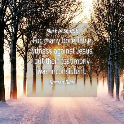 Picture 04 - Mark 14:56 BSB - For many bore false witness against Jesus, but - Bible Verse Picture