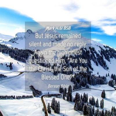 Picture 04 - Mark 14:61 BSB - But Jesus remained silent and made no reply. - Bible Verse Picture