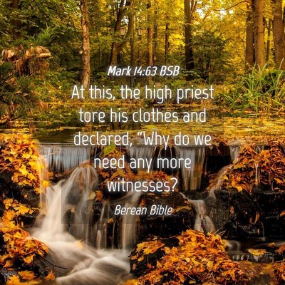 Picture 04 - Mark 14:63 BSB - At this, the high priest tore his clothes and - Bible Verse Picture