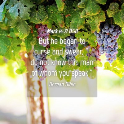 Picture 04 - Mark 14:71 BSB - But he began to curse and swear, “I do not know - Bible Verse Picture