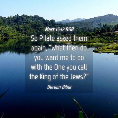 Picture 04 - Mark 15:12 BSB - So Pilate asked them again, “What then do you - Bible Verse Picture