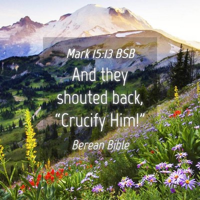Picture 04 - Mark 15:13 BSB - And they shouted back, “Crucify - Bible Verse Picture