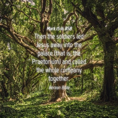 Picture 04 - Mark 15:16 BSB - Then the soldiers led Jesus away into the palace - Bible Verse Picture