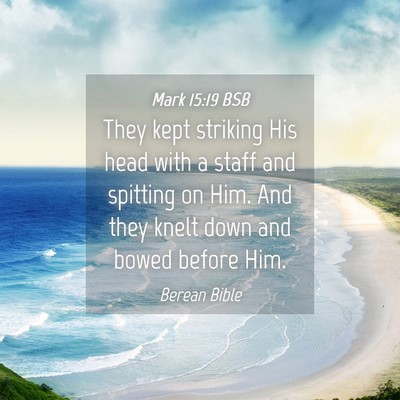Picture 04 - Mark 15:19 BSB - They kept striking His head with a staff and - Bible Verse Picture