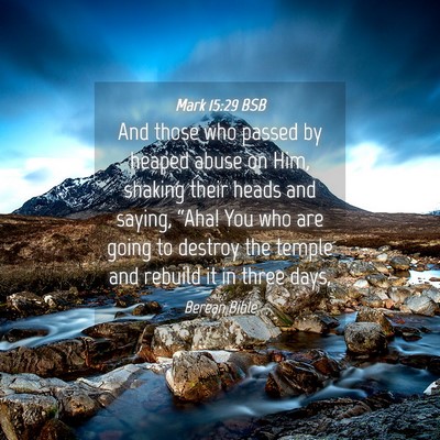 Picture 04 - Mark 15:29 BSB - And those who passed by heaped abuse on Him, - Bible Verse Picture