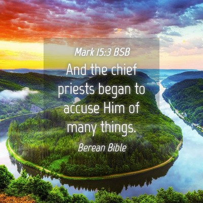 Picture 04 - Mark 15:3 BSB - And the chief priests began to accuse Him of many - Bible Verse Picture