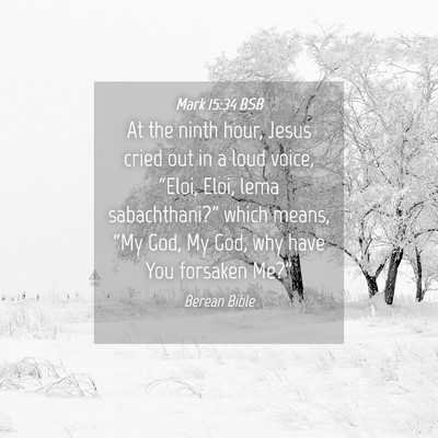Picture 04 - Mark 15:34 BSB - At the ninth hour, Jesus cried out in a loud - Bible Verse Picture