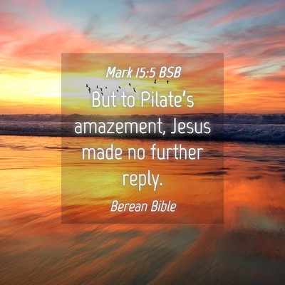Picture 04 - Mark 15:5 BSB - But to Pilate’s amazement, Jesus made no - Bible Verse Picture