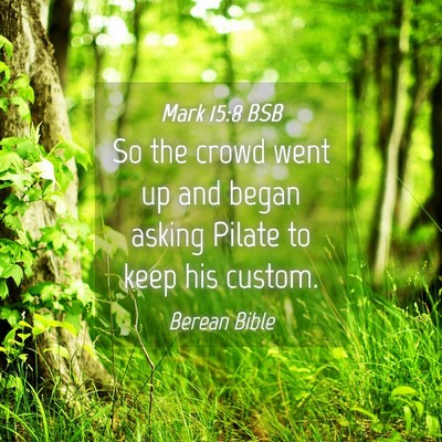 Picture 04 - Mark 15:8 BSB - So the crowd went up and began asking Pilate to - Bible Verse Picture