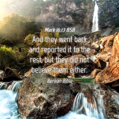 Picture 04 - Mark 16:13 BSB - And they went back and reported it to the rest, - Bible Verse Picture