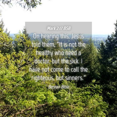 Picture 04 - Mark 2:17 BSB - On hearing this, Jesus told them, “It is not - Bible Verse Picture