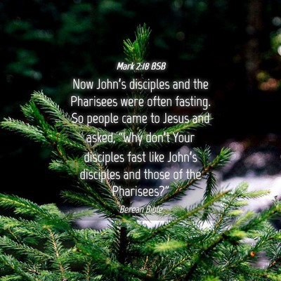 Picture 04 - Mark 2:18 BSB - Now John’s disciples and the Pharisees were - Bible Verse Picture