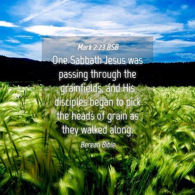 Picture 04 - Mark 2:23 BSB - One Sabbath Jesus was passing through the - Bible Verse Picture