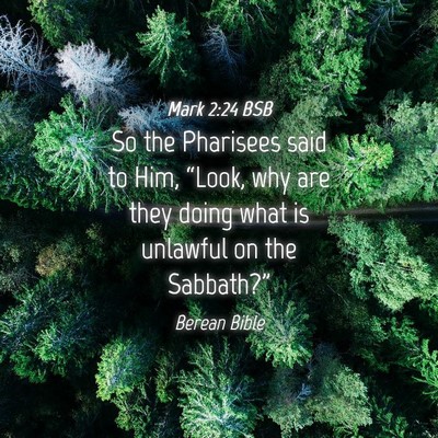 Picture 04 - Mark 2:24 BSB - So the Pharisees said to Him, “Look, why are - Bible Verse Picture