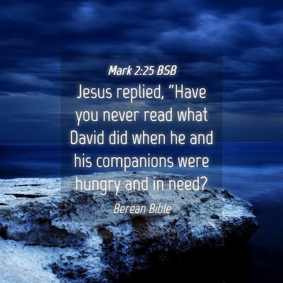 Picture 04 - Mark 2:25 BSB - Jesus replied, “Have you never read what David - Bible Verse Picture