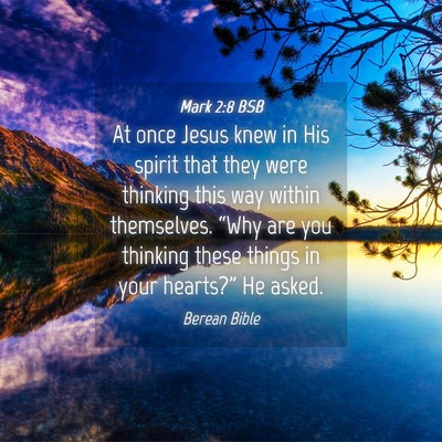 Picture 04 - Mark 2:8 BSB - At once Jesus knew in His spirit that they were - Bible Verse Picture