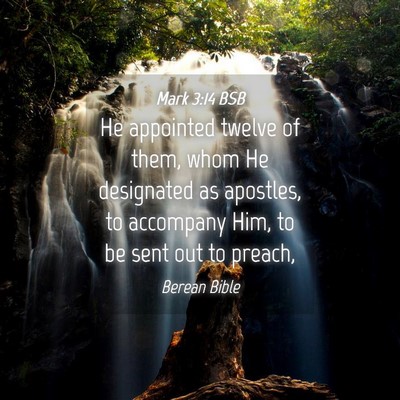 Picture 04 - Mark 3:14 BSB - He appointed twelve of them, whom He designated - Bible Verse Picture