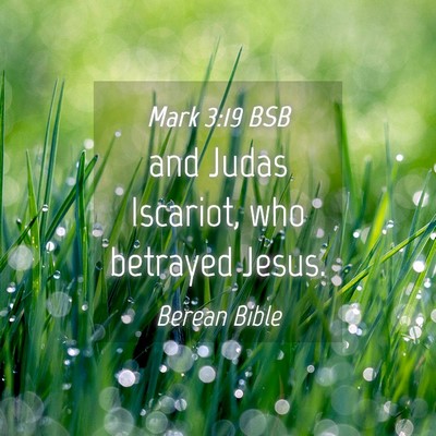 Picture 04 - Mark 3:19 BSB - and Judas Iscariot, who betrayed - Bible Verse Picture