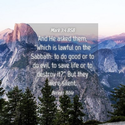 Picture 04 - Mark 3:4 BSB - And He asked them, “Which is lawful on the - Bible Verse Picture