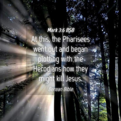 Picture 04 - Mark 3:6 BSB - At this, the Pharisees went out and began - Bible Verse Picture