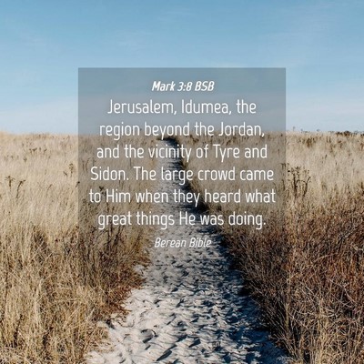 Picture 04 - Mark 3:8 BSB - Jerusalem, Idumea, the region beyond the Jordan, - Bible Verse Picture