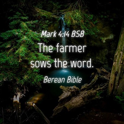 Picture 04 - Mark 4:14 BSB - The farmer sows the - Bible Verse Picture
