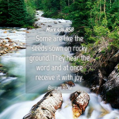 Picture 04 - Mark 4:16 BSB - Some are like the seeds sown on rocky ground. - Bible Verse Picture