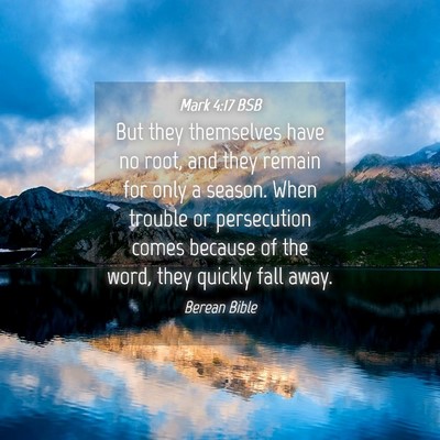 Picture 04 - Mark 4:17 BSB - But they themselves have no root, and they remain - Bible Verse Picture