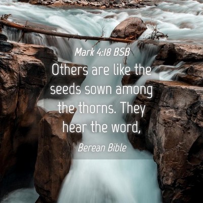 Picture 04 - Mark 4:18 BSB - Others are like the seeds sown among the thorns. - Bible Verse Picture