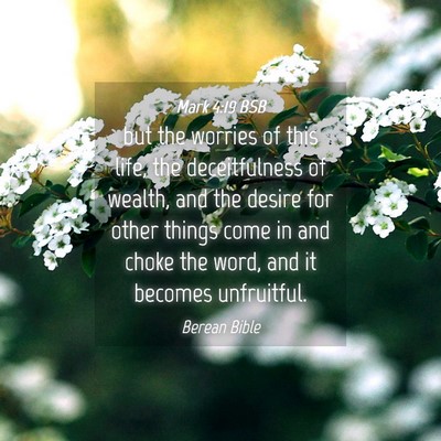 Picture 04 - Mark 4:19 BSB - but the worries of this life, the deceitfulness - Bible Verse Picture