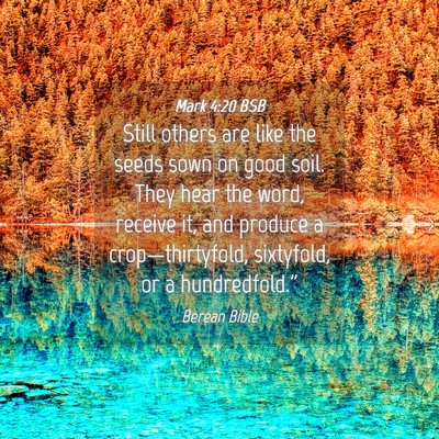 Picture 04 - Mark 4:20 BSB - Still others are like the seeds sown on good - Bible Verse Picture