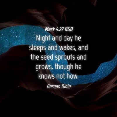 Picture 04 - Mark 4:27 BSB - Night and day he sleeps and wakes, and the seed - Bible Verse Picture