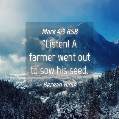 Picture 04 - Mark 4:3 BSB - “Listen! A farmer went out to sow his - Bible Verse Picture