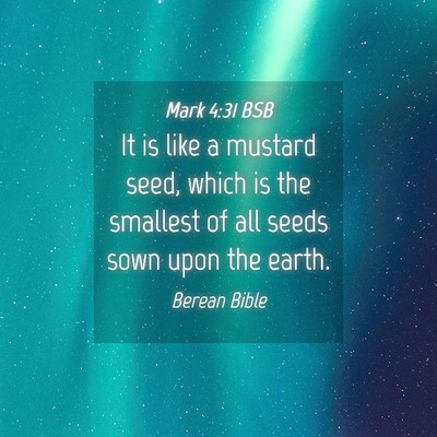 Picture 04 - Mark 4:31 BSB - It is like a mustard seed, which is the smallest - Bible Verse Picture