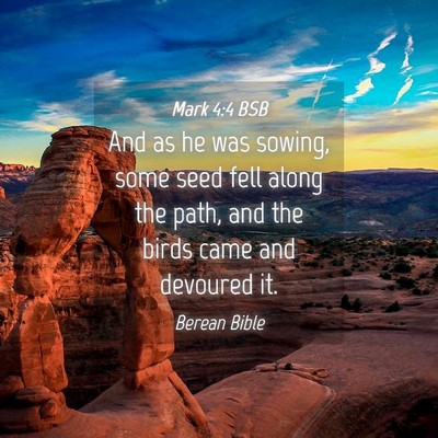 Picture 04 - Mark 4:4 BSB - And as he was sowing, some seed fell along the - Bible Verse Picture