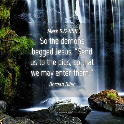 Picture 04 - Mark 5:12 BSB - So the demons begged Jesus, “Send us to the - Bible Verse Picture