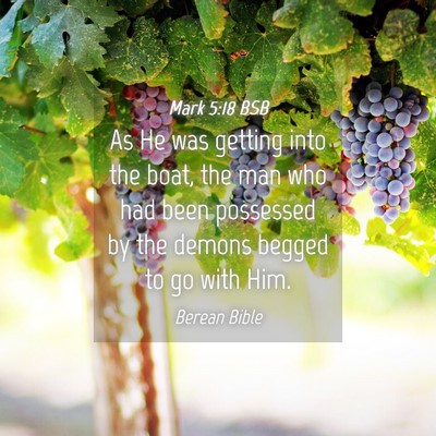 Picture 04 - Mark 5:18 BSB - As He was getting into the boat, the man who had - Bible Verse Picture