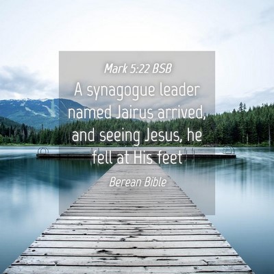 Picture 04 - Mark 5:22 BSB - A synagogue leader named Jairus arrived, and - Bible Verse Picture