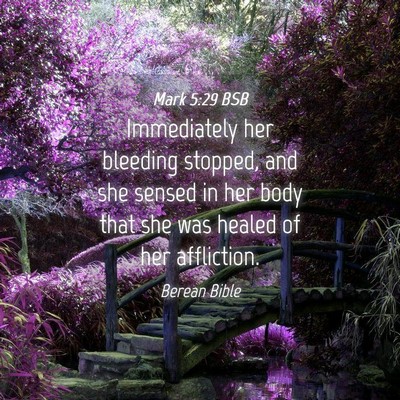 Picture 04 - Mark 5:29 BSB - Immediately her bleeding stopped, and she sensed - Bible Verse Picture