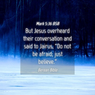 Picture 04 - Mark 5:36 BSB - But Jesus overheard their conversation and said - Bible Verse Picture