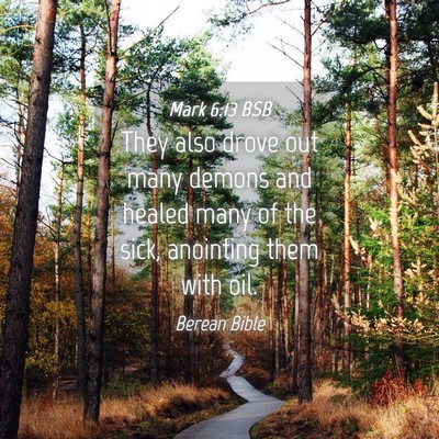 Picture 04 - Mark 6:13 BSB - They also drove out many demons and healed many - Bible Verse Picture