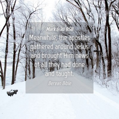Picture 04 - Mark 6:30 BSB - Meanwhile, the apostles gathered around Jesus and - Bible Verse Picture