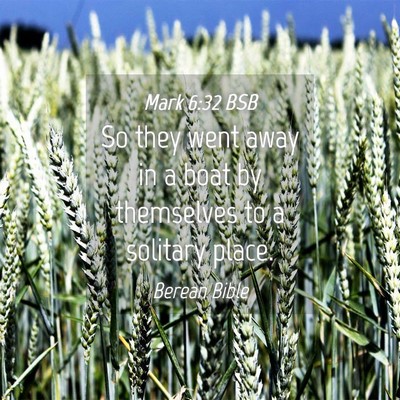 Picture 04 - Mark 6:32 BSB - So they went away in a boat by themselves to a - Bible Verse Picture