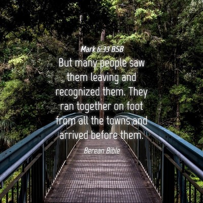 Picture 04 - Mark 6:33 BSB - But many people saw them leaving and recognized - Bible Verse Picture
