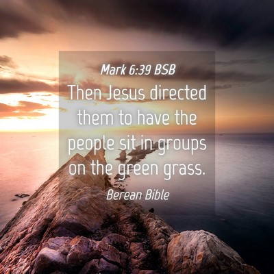 Picture 04 - Mark 6:39 BSB - Then Jesus directed them to have the people sit - Bible Verse Picture