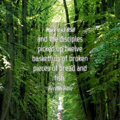Picture 04 - Mark 6:43 BSB - and the disciples picked up twelve basketfuls of - Bible Verse Picture