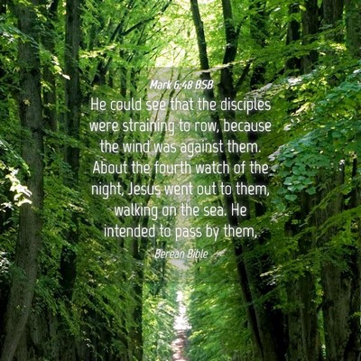 Picture 04 - Mark 6:48 BSB - He could see that the disciples were straining to - Bible Verse Picture